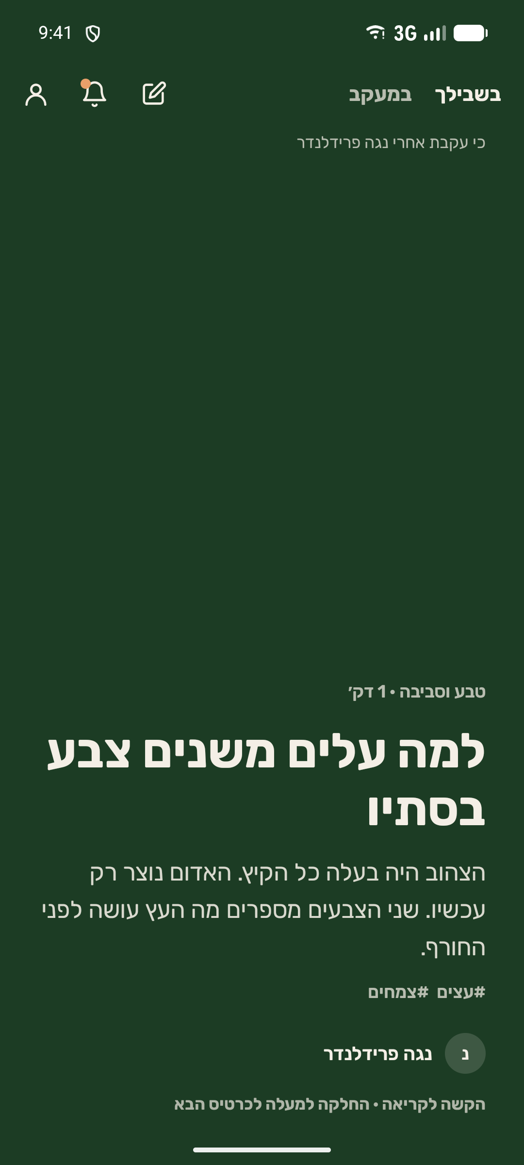 הפיד: כרטיס לכל מאמר