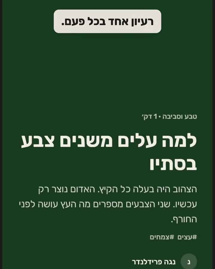 wisst בעשרים וחמש שניות
